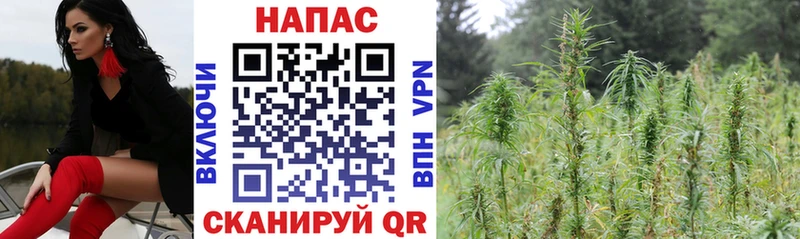 Где купить наркотики Мирный Каннабис  Cocaine  ГАШ  Меф мяу мяу 