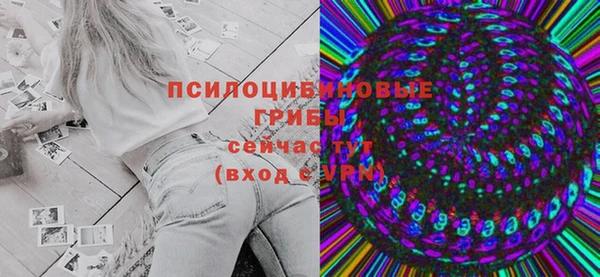 индика Усмань