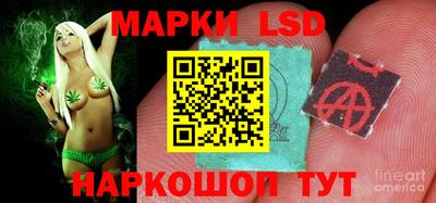 шишки Заводоуковск