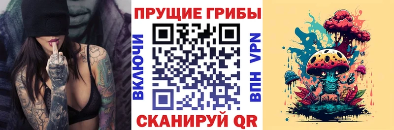 Галлюциногенные грибы Magic Shrooms  купить наркотики сайты  Мирный 