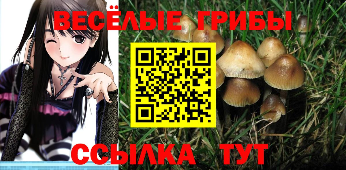 Псилоцибиновые грибы Psilocybine cubensis Мирный