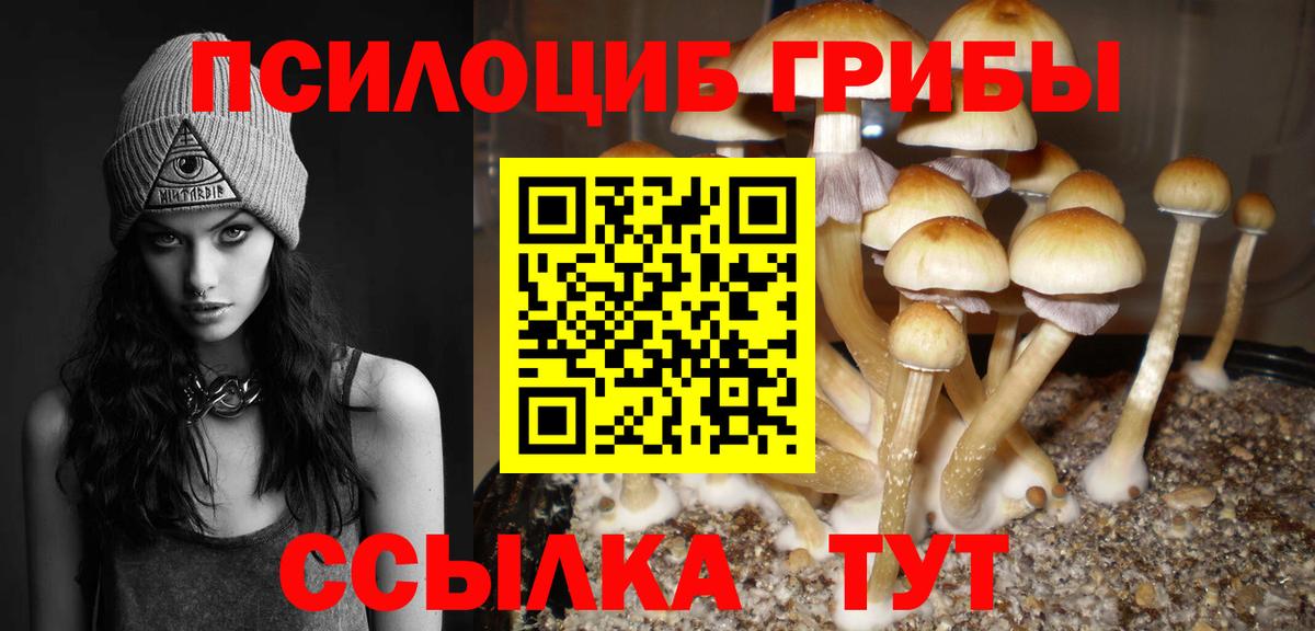 Псилоцибиновые грибы GOLDEN TEACHER  Вход с VPN  Мирный 
